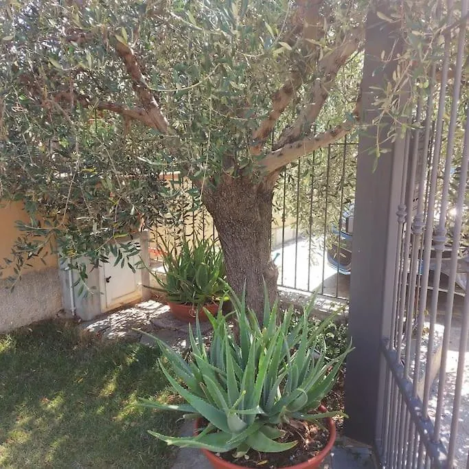 Appartamento Casa vacanze La Terrazza del Gatto. Toirano Italia