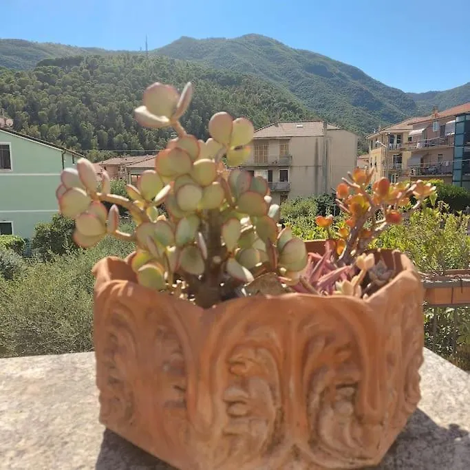 Appartamento Casa vacanze La Terrazza del Gatto. Toirano Italia